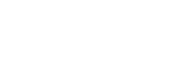 wordpress-development
